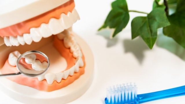歯周病でも矯正治療は可能？　治療時の危険性や気を付けるべきこと